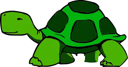 Adorable Green Cartoon Turtle
