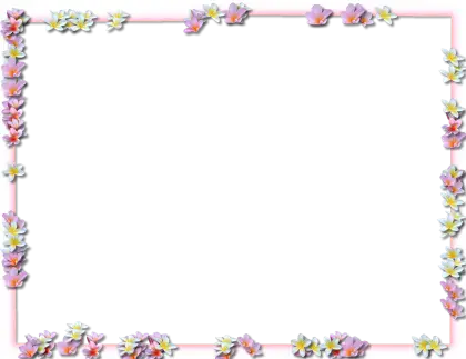 Floral Frame with Colorful Flowers
