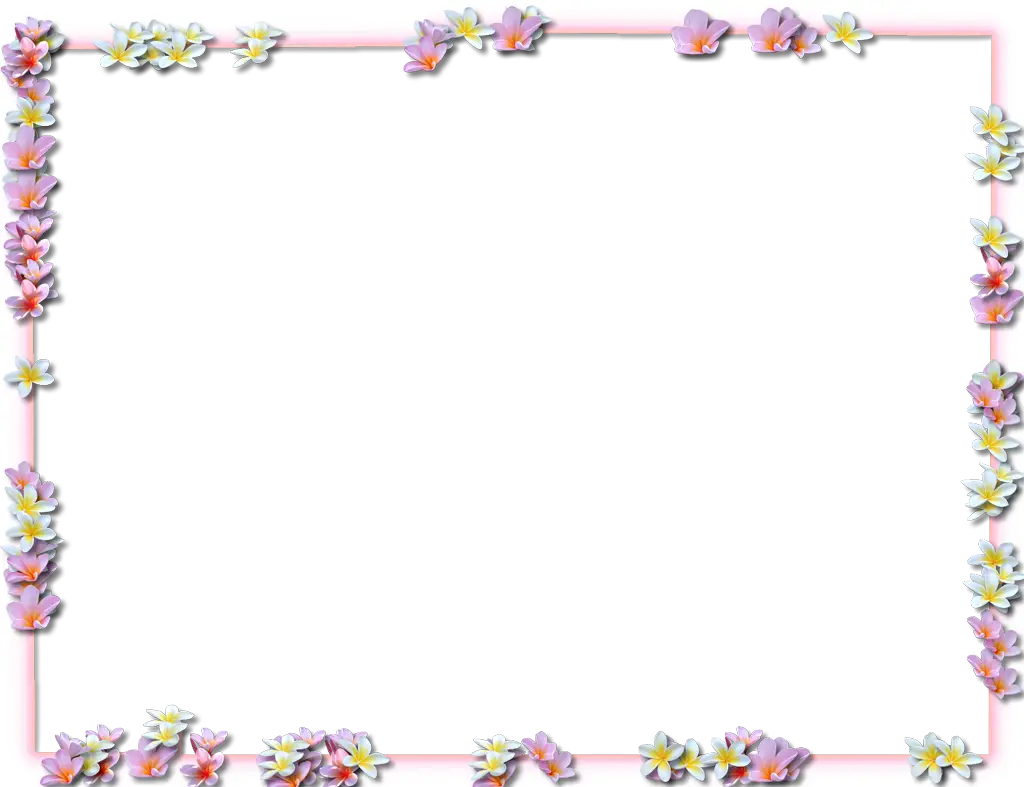 Floral Frame with Colorful Flowers