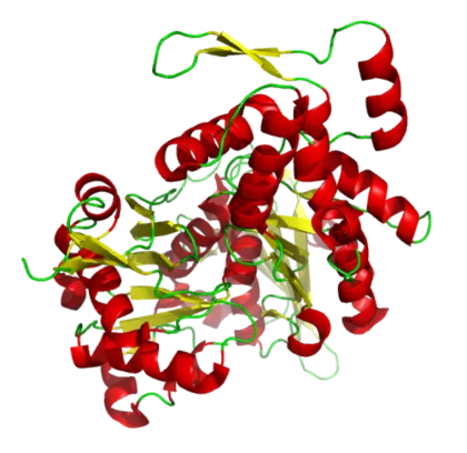 3D Representation of a Protein Structure