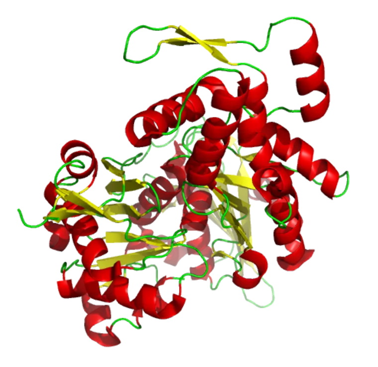 3D Representation of a Protein Structure