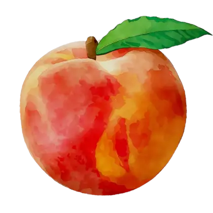 Juicy Peach with Fresh Green Leaf