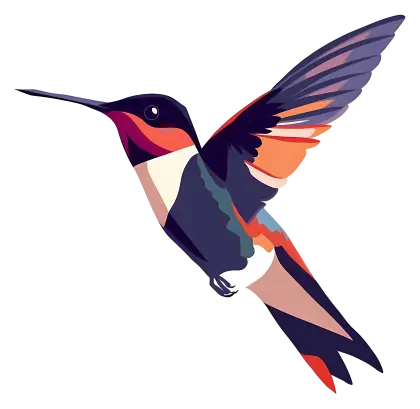 Vibrant Hummingbird Illustration
