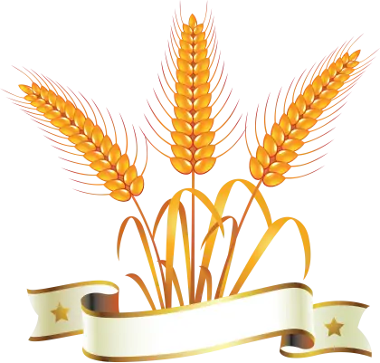 Wheat with Decorative Ribbon Art