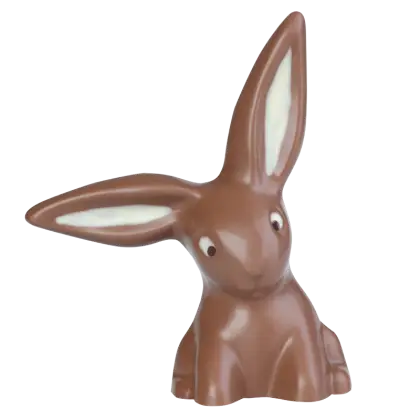Chocolate Bunny for Easter