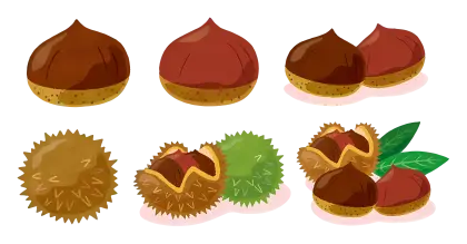 Various Chestnuts