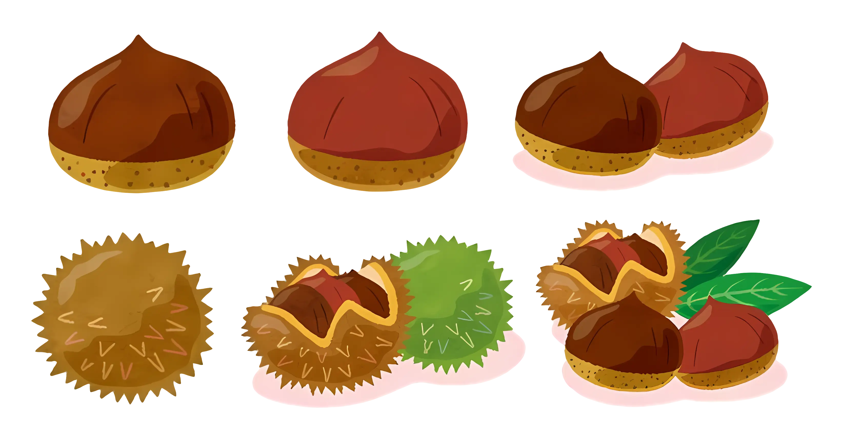 Various Chestnuts
