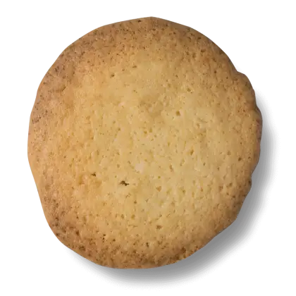Round Plain Cookie with Crispy Texture