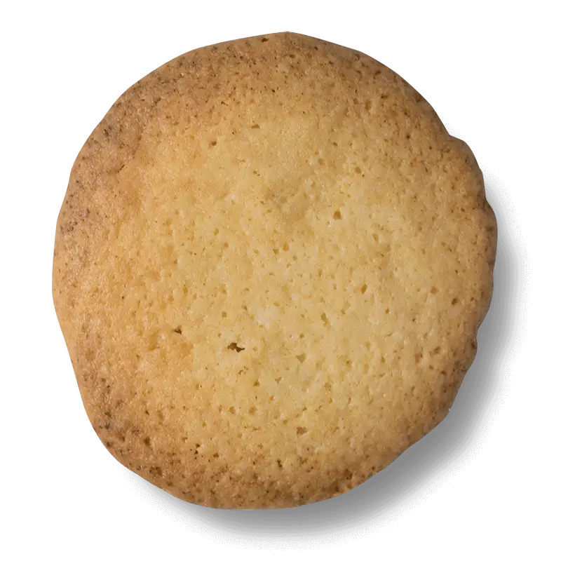 Round Plain Cookie with Crispy Texture