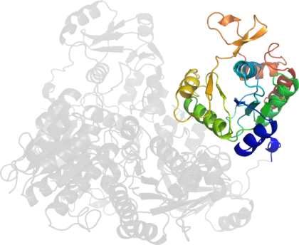 Colorful Protein Structure Illustration