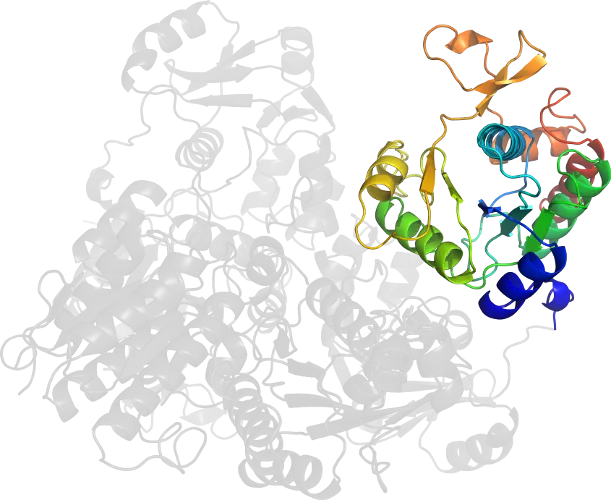 Colorful Protein Structure Illustration