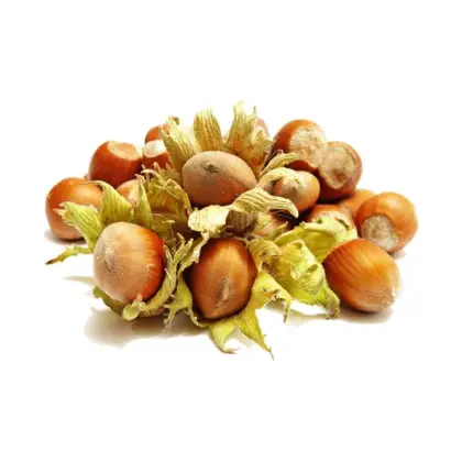 Pile of Hazelnuts
