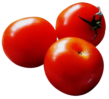 Three Ripe Red Tomatoes