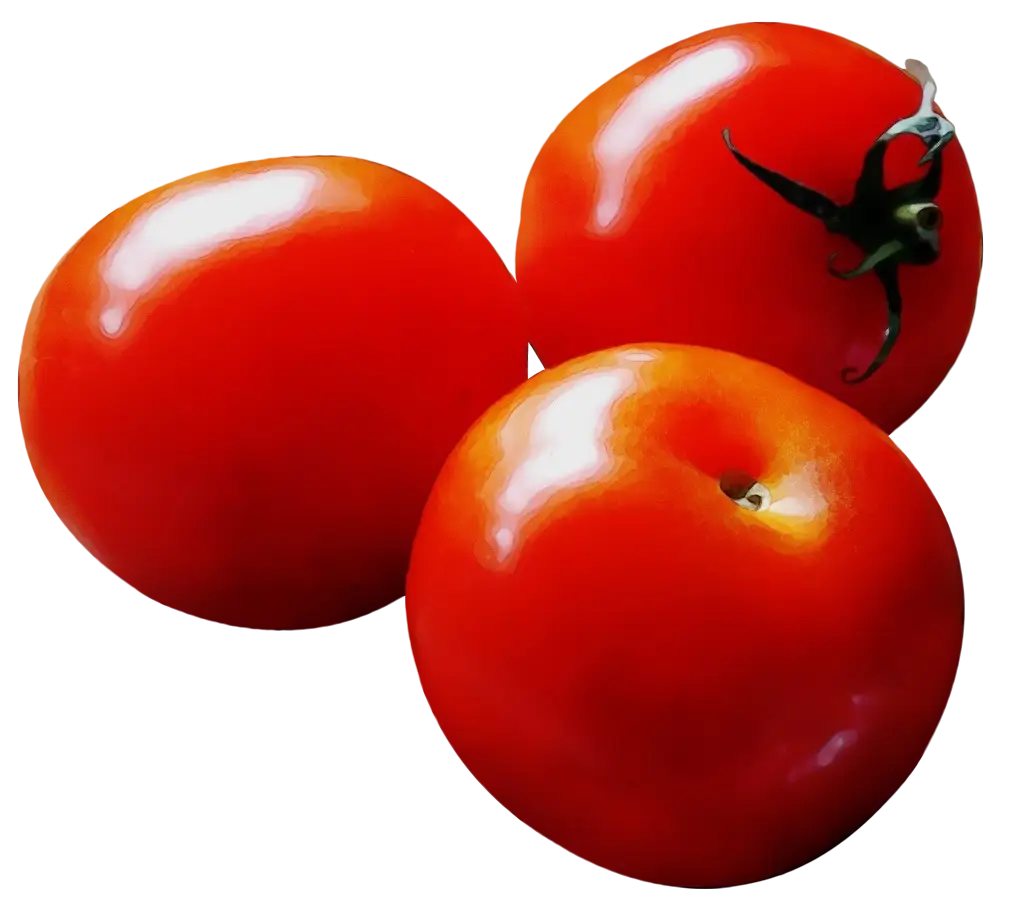 Three Ripe Red Tomatoes