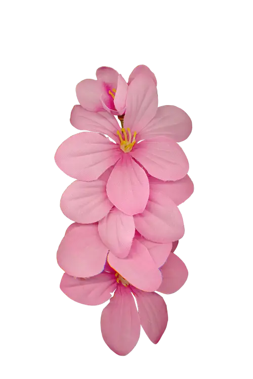 Beautiful Pink Flowers