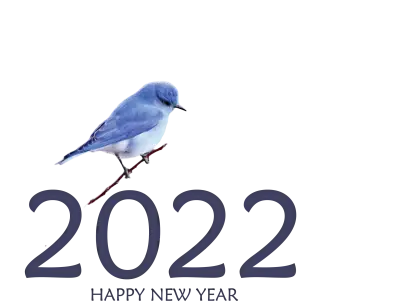 Bluebird New Year Greeting with 2022 Text