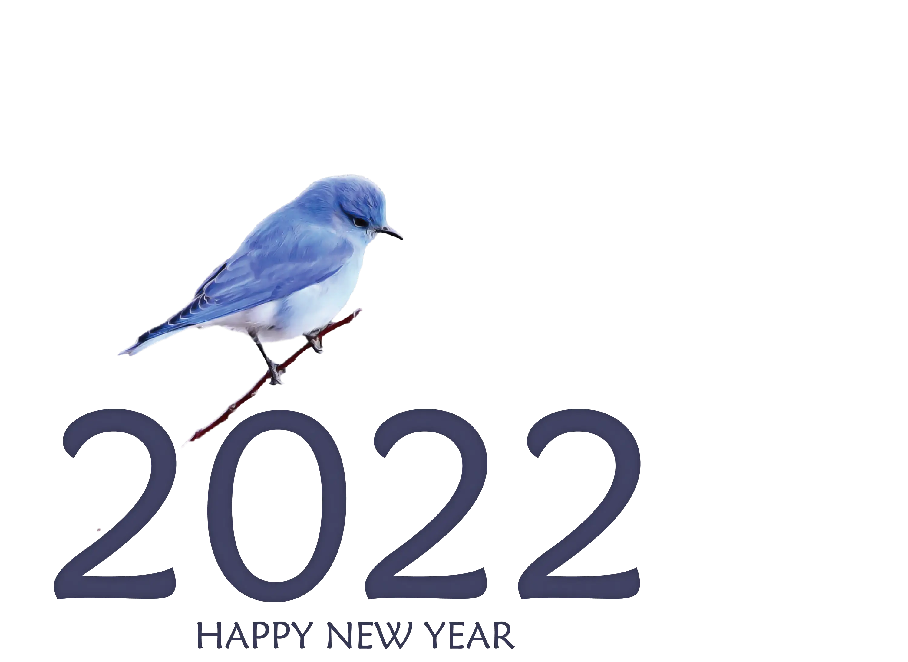 Bluebird New Year Greeting with 2022 Text