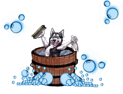 Dog in Tub with Bubbles