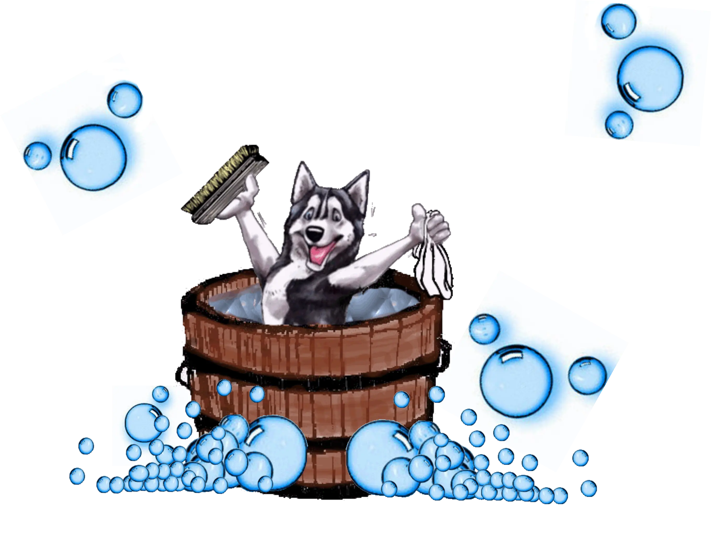 Dog in Tub with Bubbles