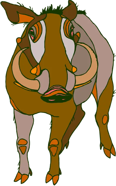 Cartoon Illustrated Warthog