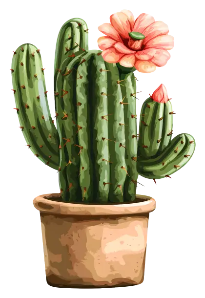 Beautiful Cactus with Flower in Pot