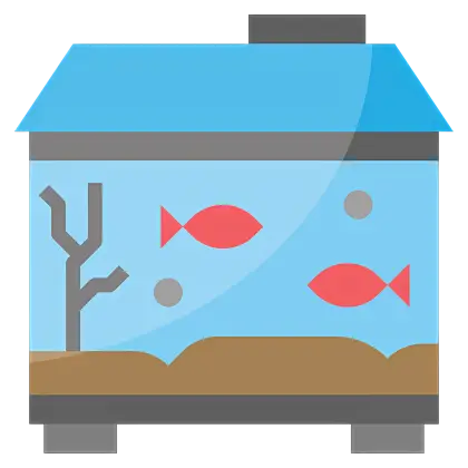 Large Fish Tank with Two Fish