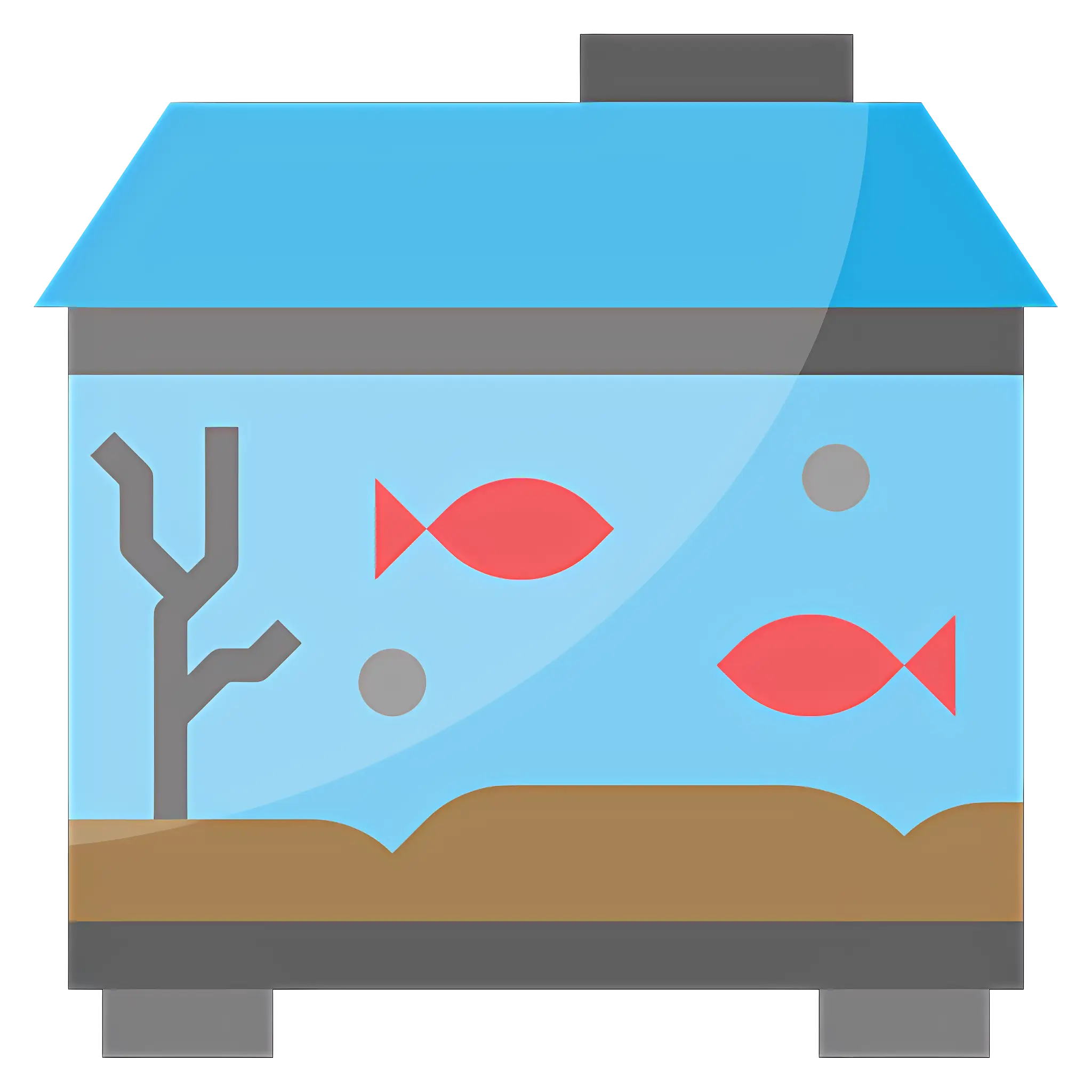 Large Fish Tank with Two Fish