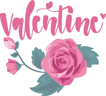 Pink Rose with Valentine Text Illustration