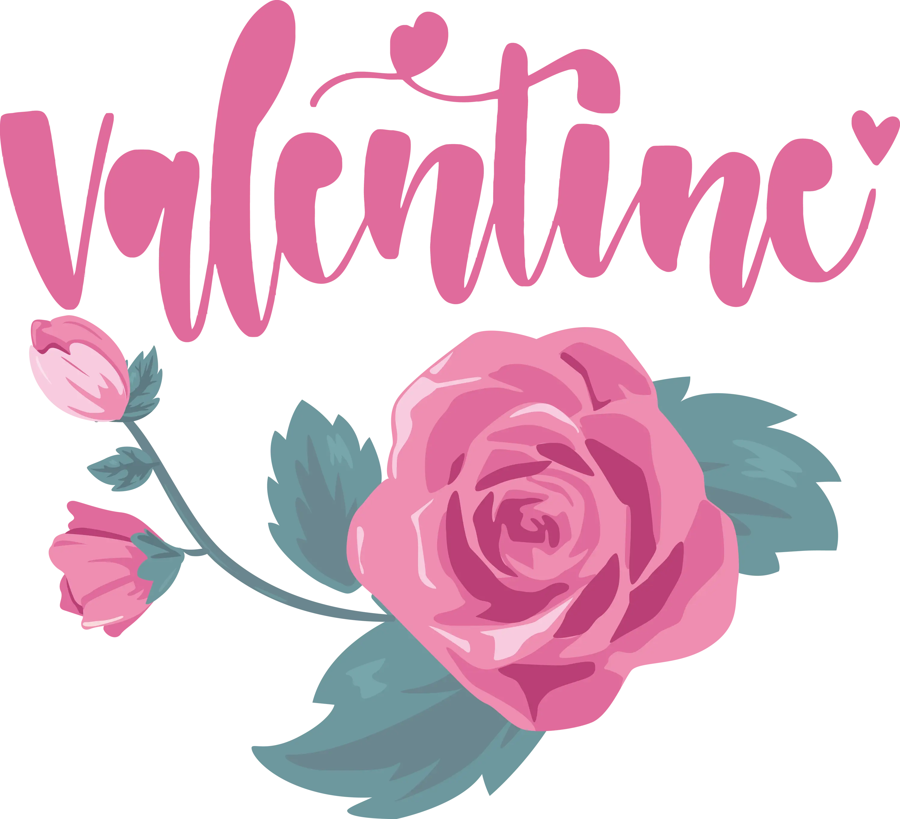 Pink Rose with Valentine Text Illustration