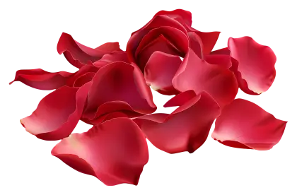 Red Rose Petals for Romantic Decor