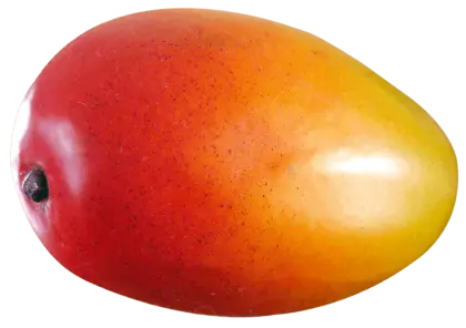Ripe Mango Fruit Illustration