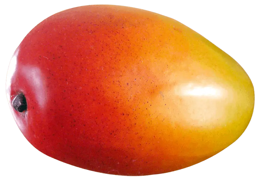 Ripe Mango Fruit Illustration