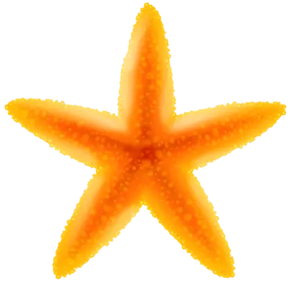 Vivid Orange Starfish Illustration