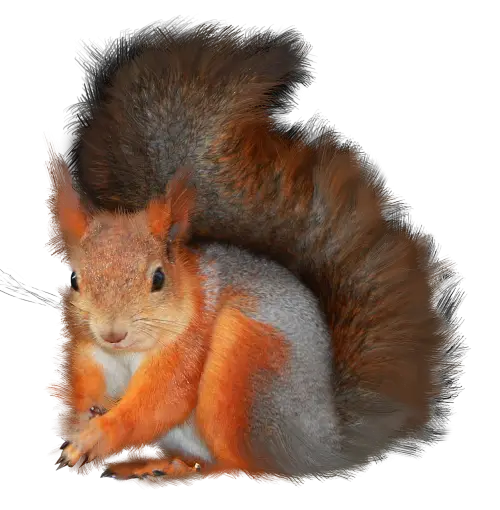 Realistic Squirrel in Natural Habitat