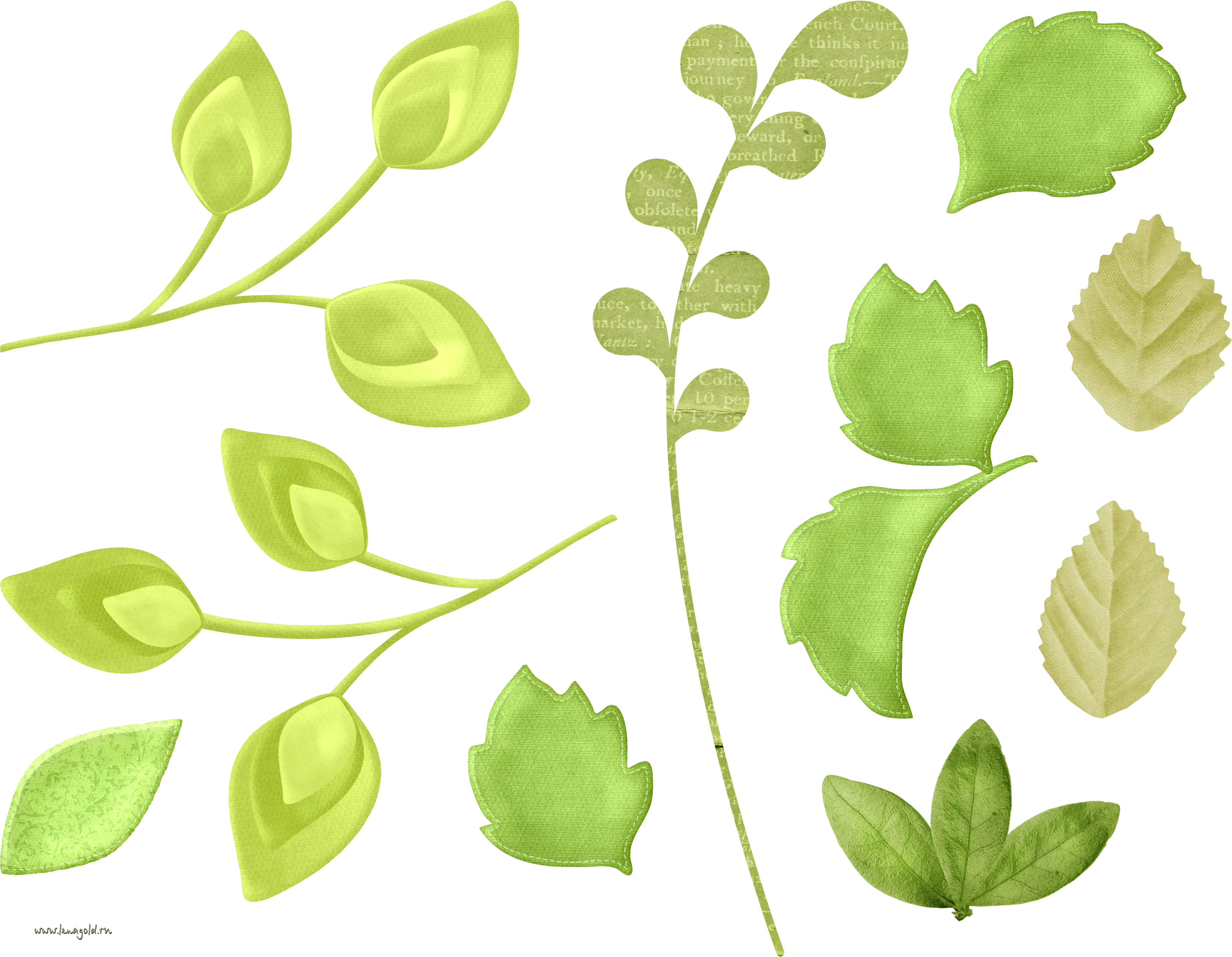 Green Leaves and Branches Vector Illustration