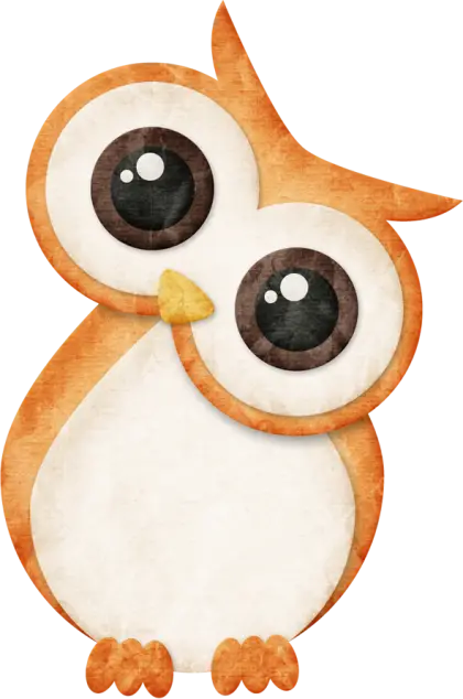 Cartoon Owl with Adorable Design