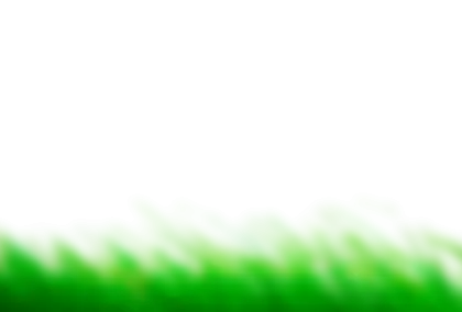 Green Grass on Transparent Background