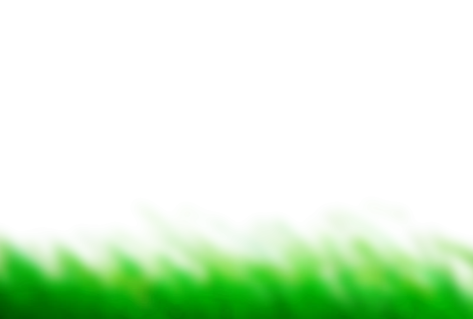 Green Grass on Transparent Background