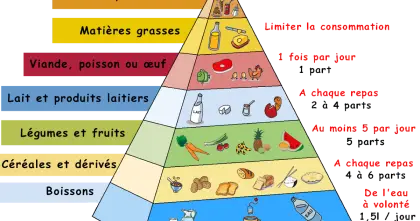 Healthy Food Pyramid Guide