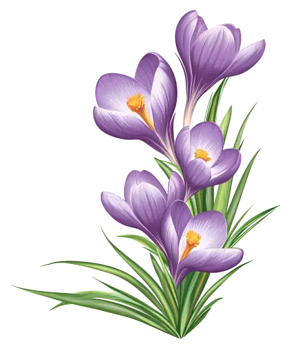 Bouquet of Purple Flowers