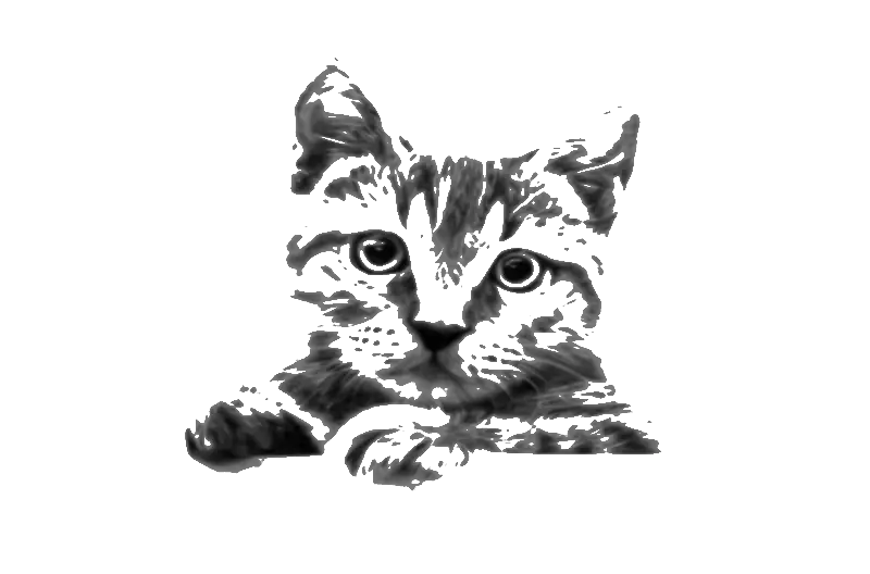 Black and White Sketch of a Cute Cat