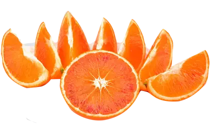 Fresh Orange Fruit Slices Display