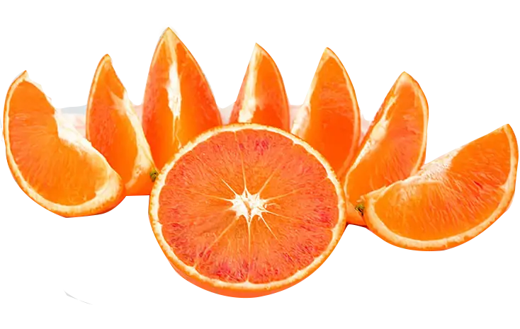 Fresh Orange Fruit Slices Display