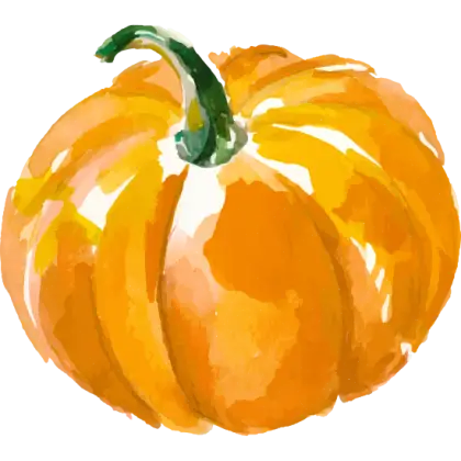 Orange Pumpkin Illustration for Autumn