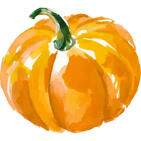 Orange Pumpkin Illustration for Autumn