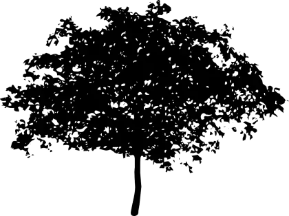 Black Tree Silhouette Illustration