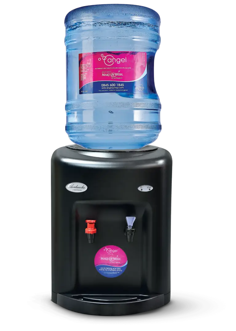 Water Dispenser with Bottle