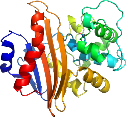 3D Illustration of a Colorful Protein Structure