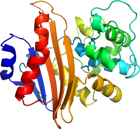 3D Illustration of a Colorful Protein Structure
