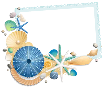 Decorative Frame with Seashells and Starfish